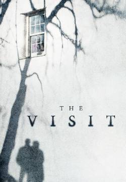 The visit