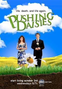 Pushing Daisies