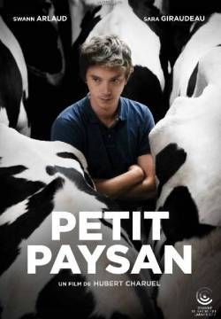 Petit Paysan