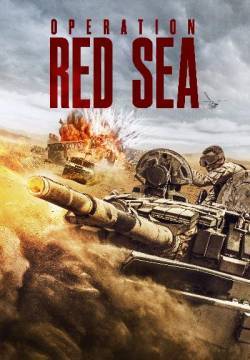 Operation Red Sea