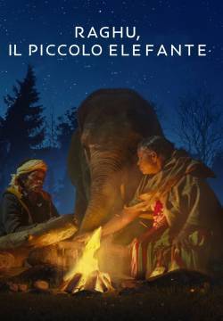 Raghu, il piccolo elefante