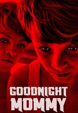 Goodnight Mommy